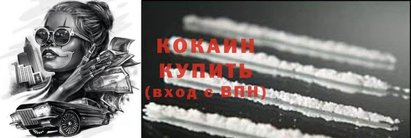 соль ск Арсеньев