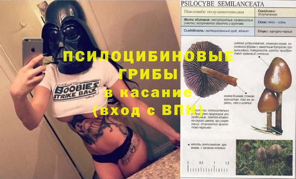 соль ск Арсеньев