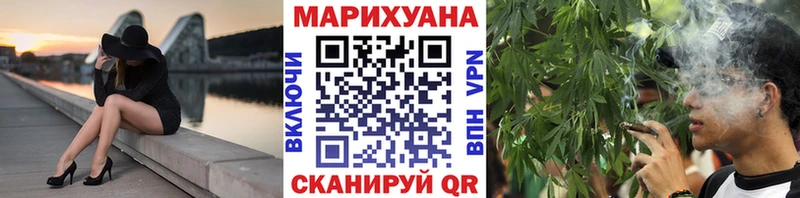 закладка  Теберда  Канабис сатива 